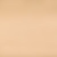 Zao Essence of Nature Refill Concealer - Clear Beige  